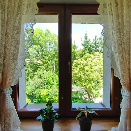 Gniazdko Czarodzieja * جيدلينا زدروي